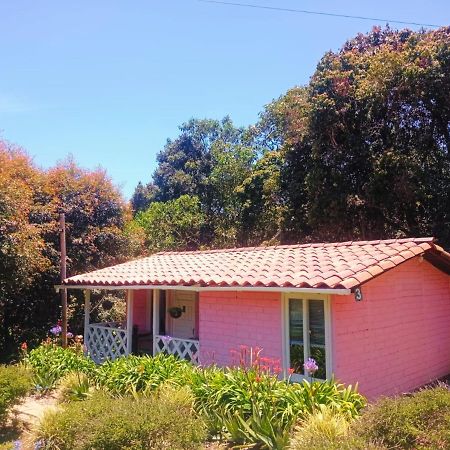 Hospedaje Santaelena -Chalets De Montana- 산타 엘레나 외부 사진