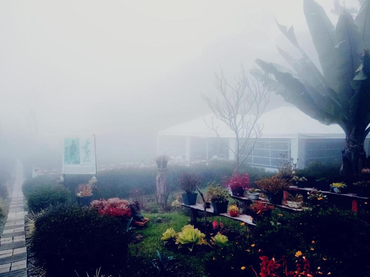 Hospedaje Santaelena -Chalets De Montana- 산타 엘레나 외부 사진