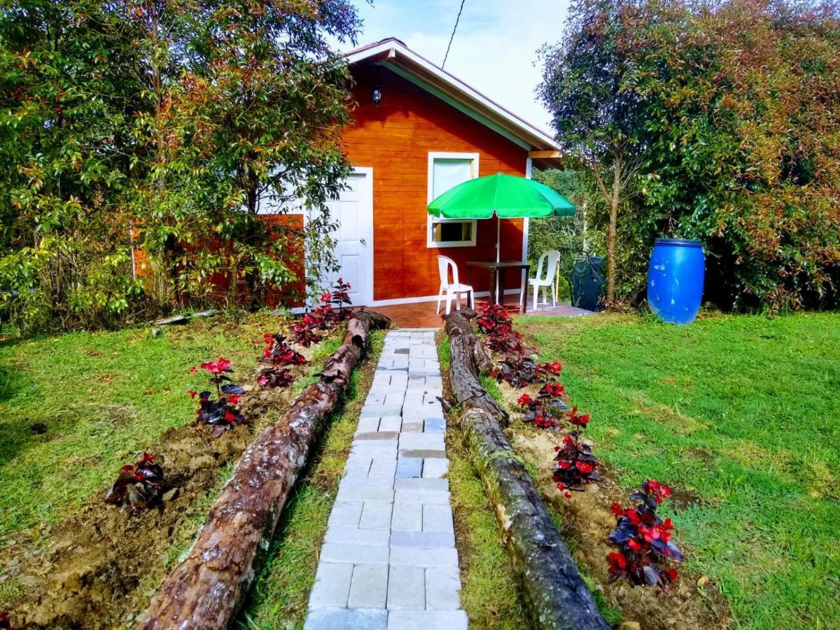 Hospedaje Santaelena -Chalets De Montana- 산타 엘레나 외부 사진