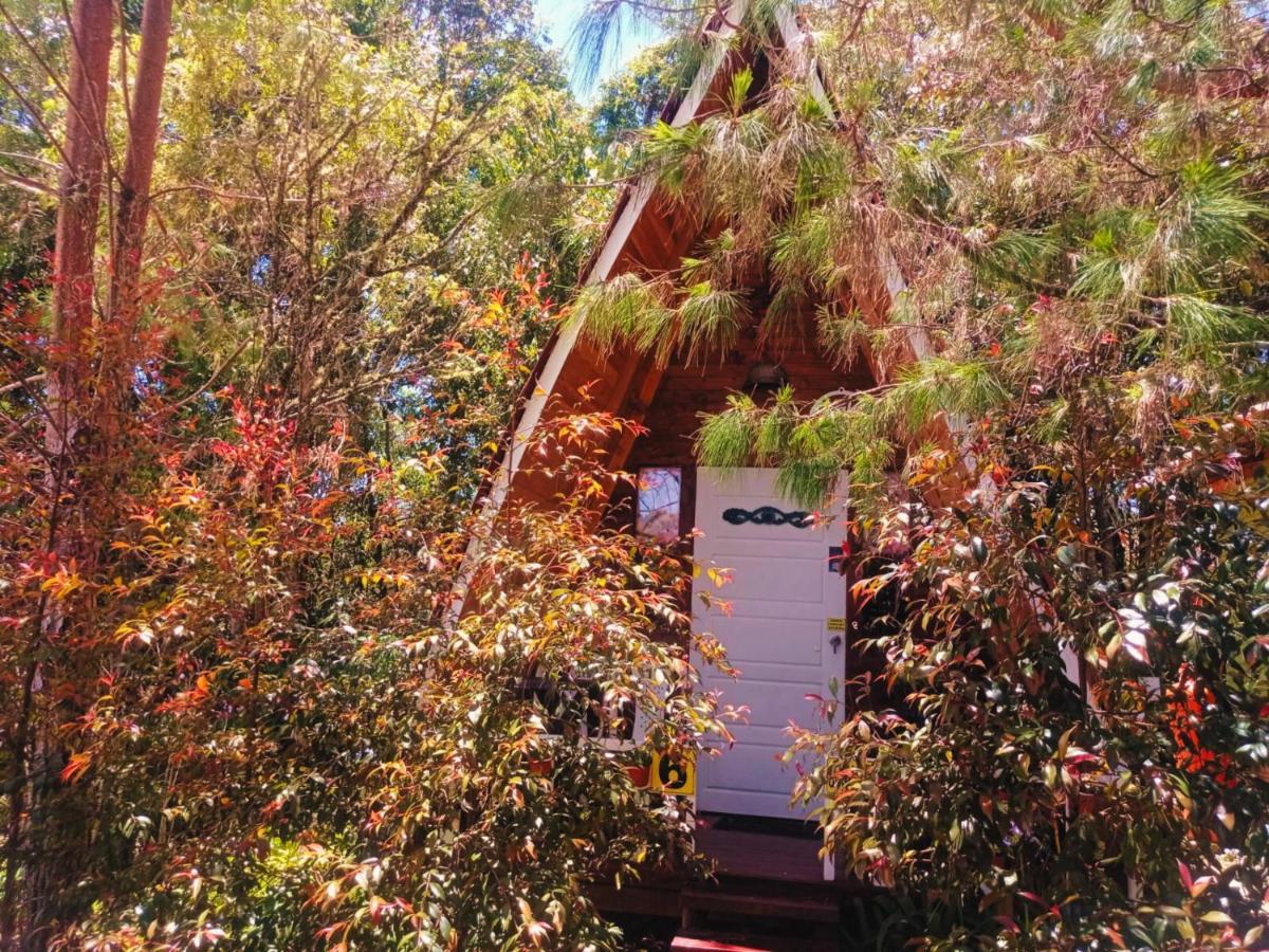 Hospedaje Santaelena -Chalets De Montana- 산타 엘레나 외부 사진